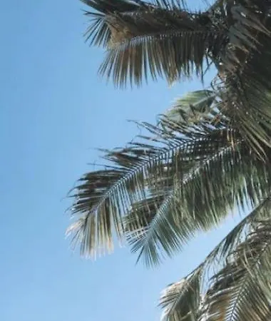 Сasa de vacaciones Ataraxia *
