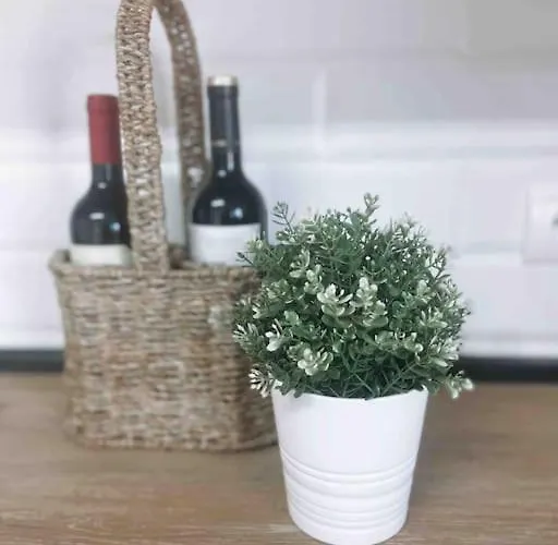 Ataraxia Tatil Evi Vinarós